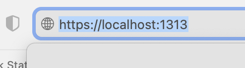Image of Safari web browser with https://loalhost:1313 in the URL bar because of automatic redirection